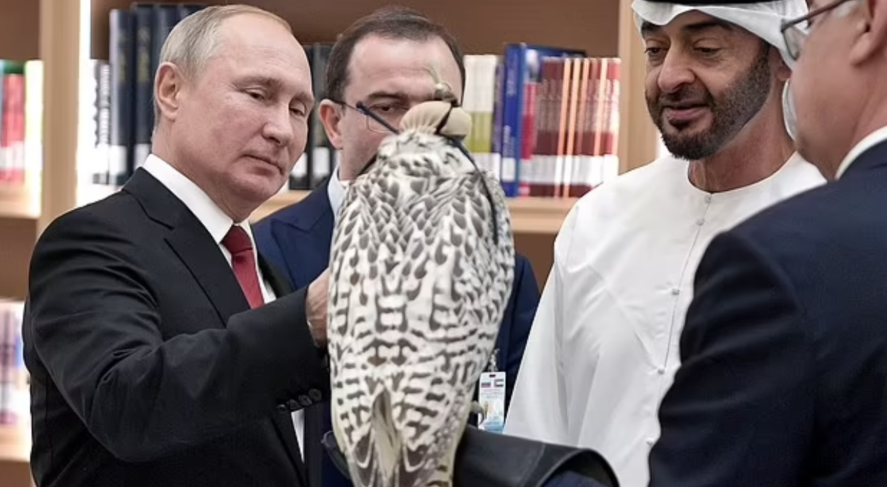 Dünyanın en büyük şahini 4 milyon TL'ye satıldı